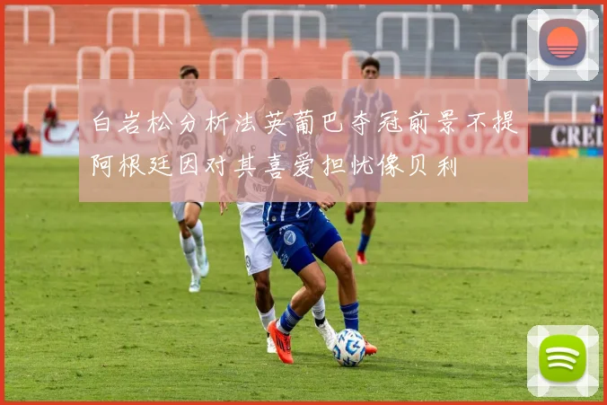 白岩松分析法英葡巴夺冠前景不提阿根廷因对其喜爱担忧像贝利