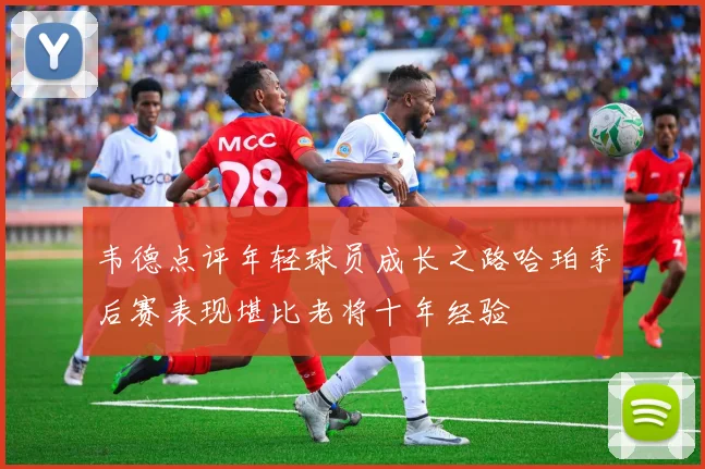 韦德点评年轻球员成长之路哈珀季后赛表现堪比老将十年经验