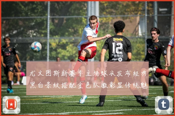 尤文图斯新赛季主场球衣发布经典黑白条纹搭配金色队徽彰显传统魅力